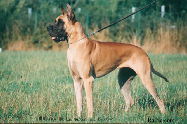 CH. Native de la Vallée Du Prieuré