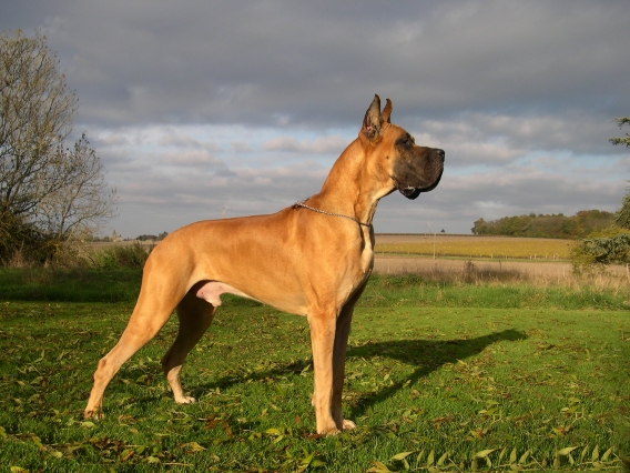 T paka de la Vallée Du Prieuré