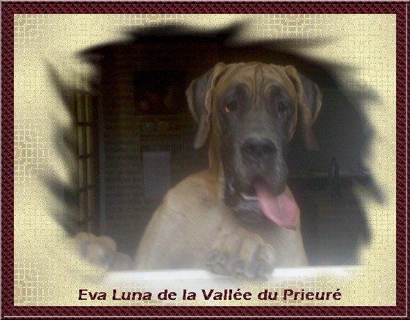 Eva luna de la Vallée Du Prieuré