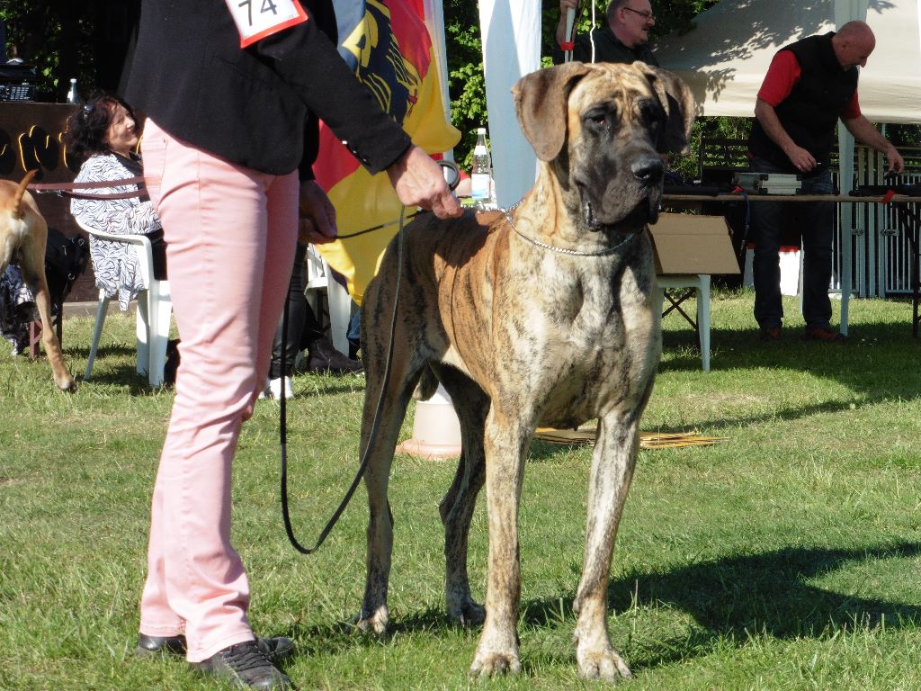 LOU-ANGE de La Vallée du Prieuré 