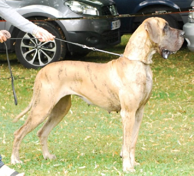 de la Vallée Du Prieuré - HESTIA EXPO JUILLET 2015