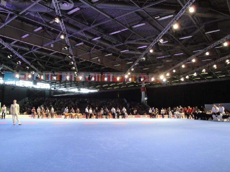 CHAMPIONNATS DU MONDE et DE FRANCE